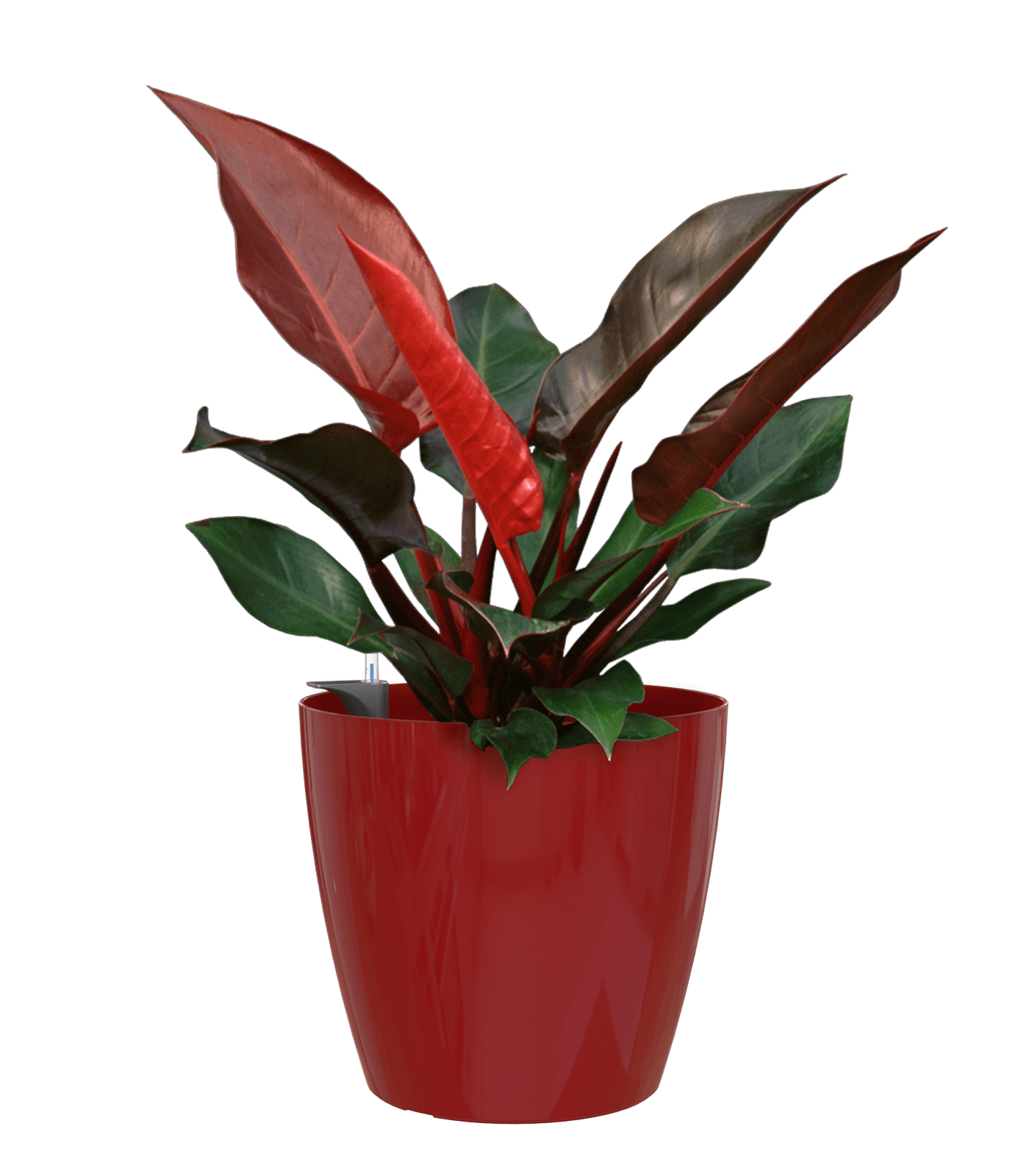 San remo planter - THE GARDEN CENTRE