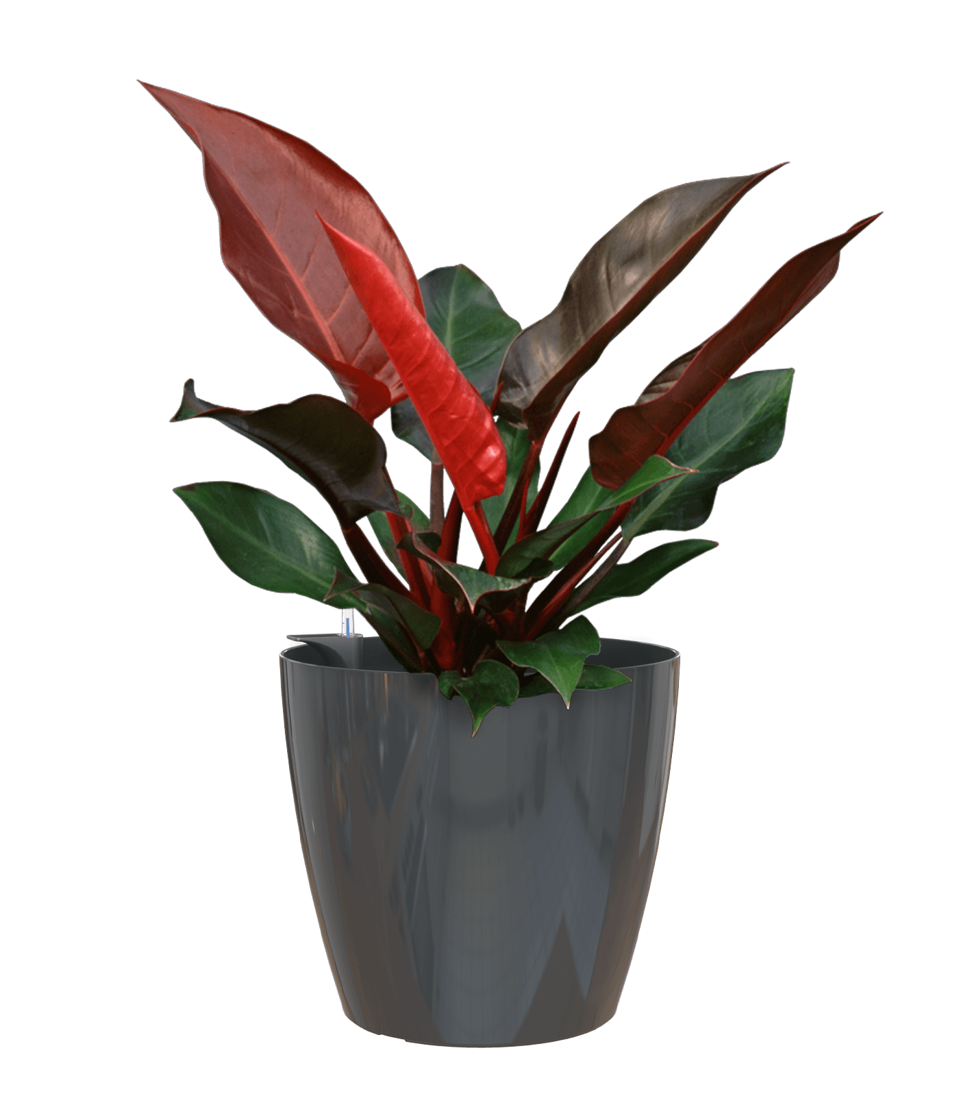 San remo planter - THE GARDEN CENTRE