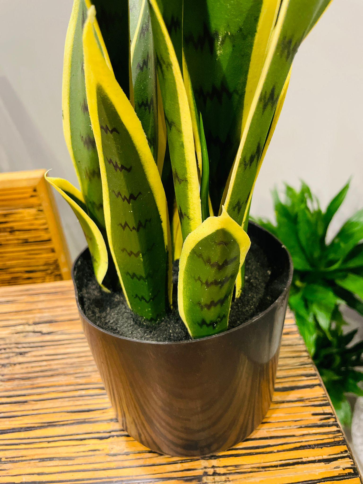 Sanseveria Snake Plant artificial - THE GARDEN CENTRE
