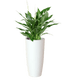 Santorini Round Planter - THE GARDEN CENTRE