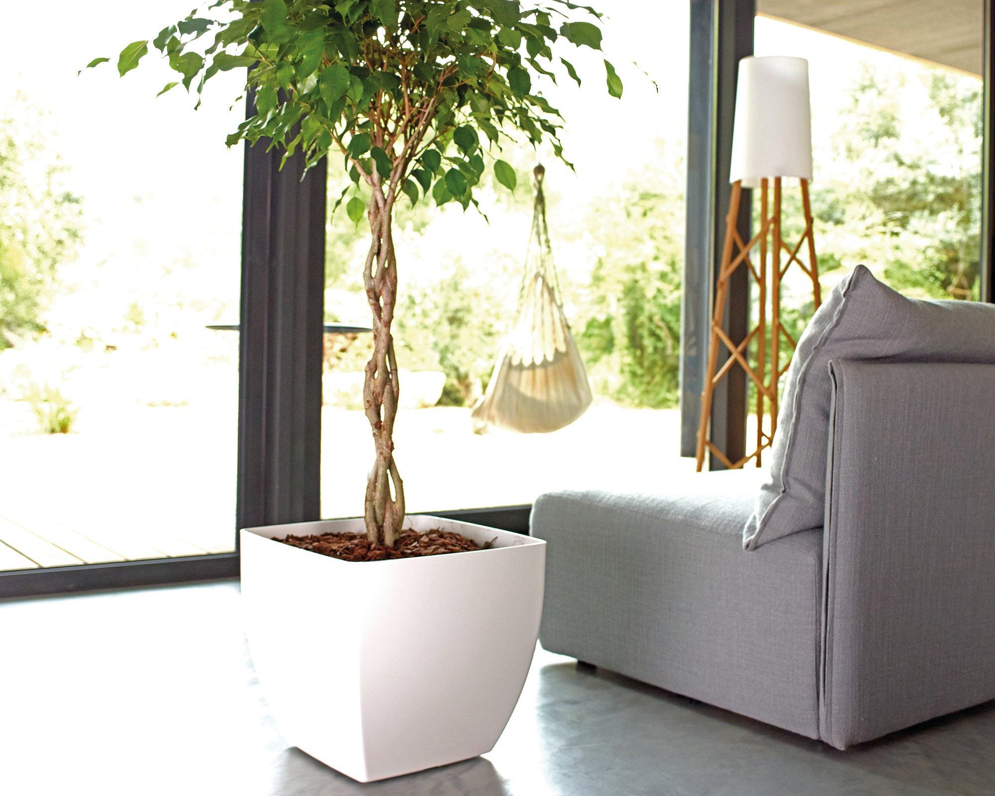 Sienna Square Pot - THE GARDEN CENTRE