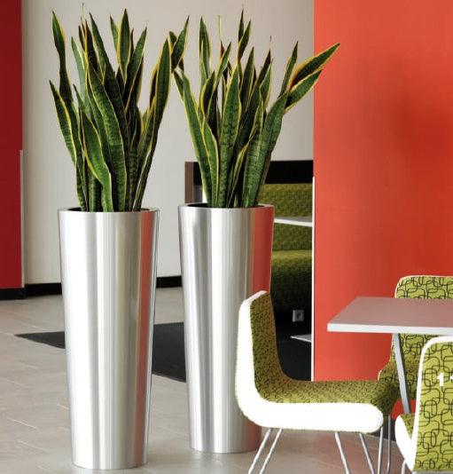 Stainless Steel Classic Conica Planter - Satin Finish - THE GARDEN CENTRE