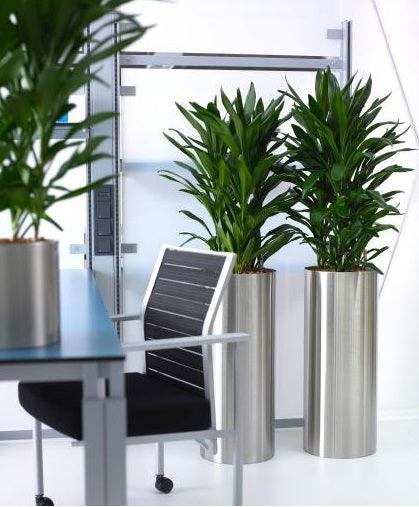 Stainless Steel Classic Parels Planter - Satin &amp; Mirror Finish - THE GARDEN CENTRE