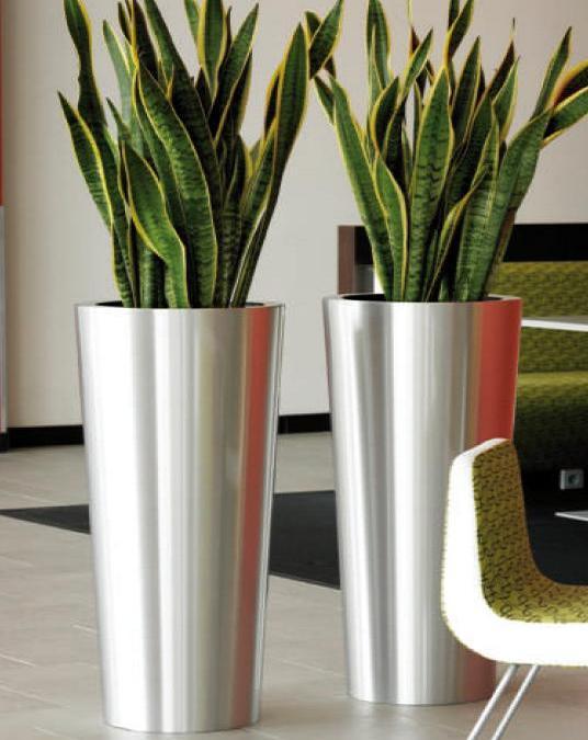 steel pots for plants Stainless Steel Conica Planter with Snake Plant – THE GARDEN CENTRE