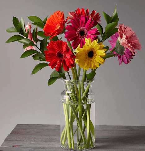 SUNKISSED GERBERA BOUQUET - THE GARDEN CENTRE