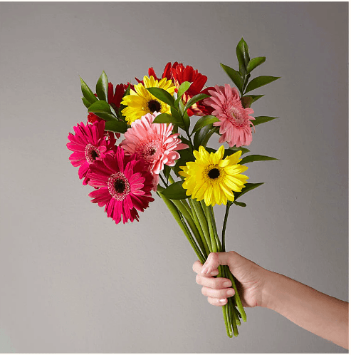 SUNKISSED GERBERA BOUQUET - THE GARDEN CENTRE