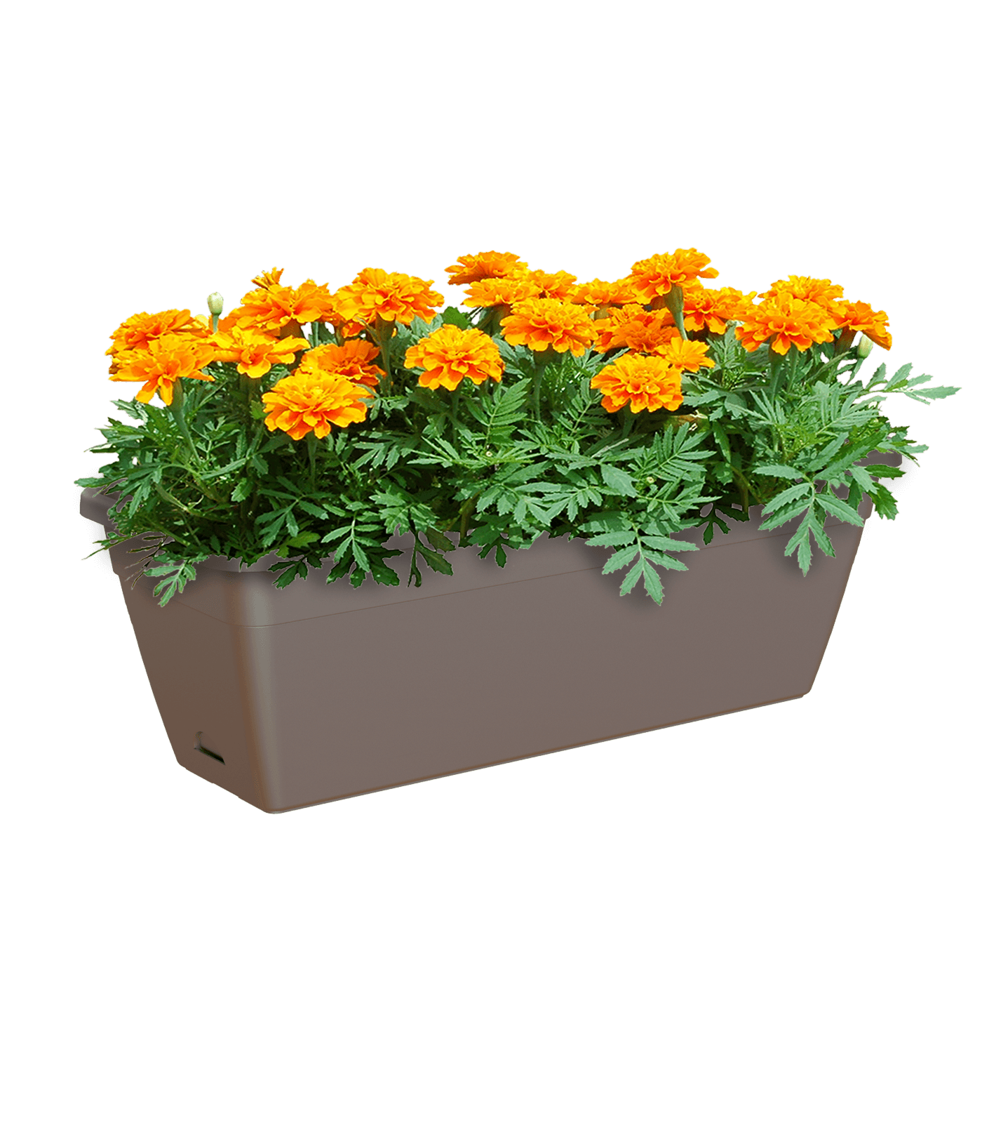 Venezia Rectangular Planter - THE GARDEN CENTRE