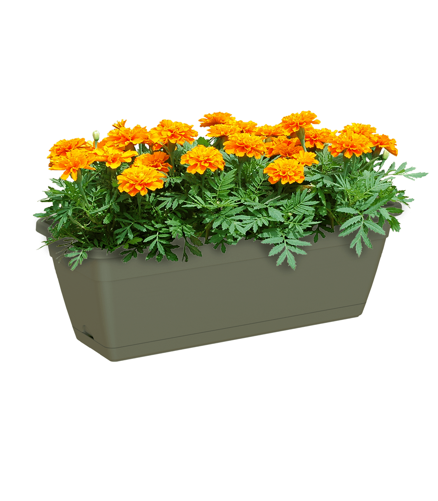 Venezia Rectangular Planter - THE GARDEN CENTRE