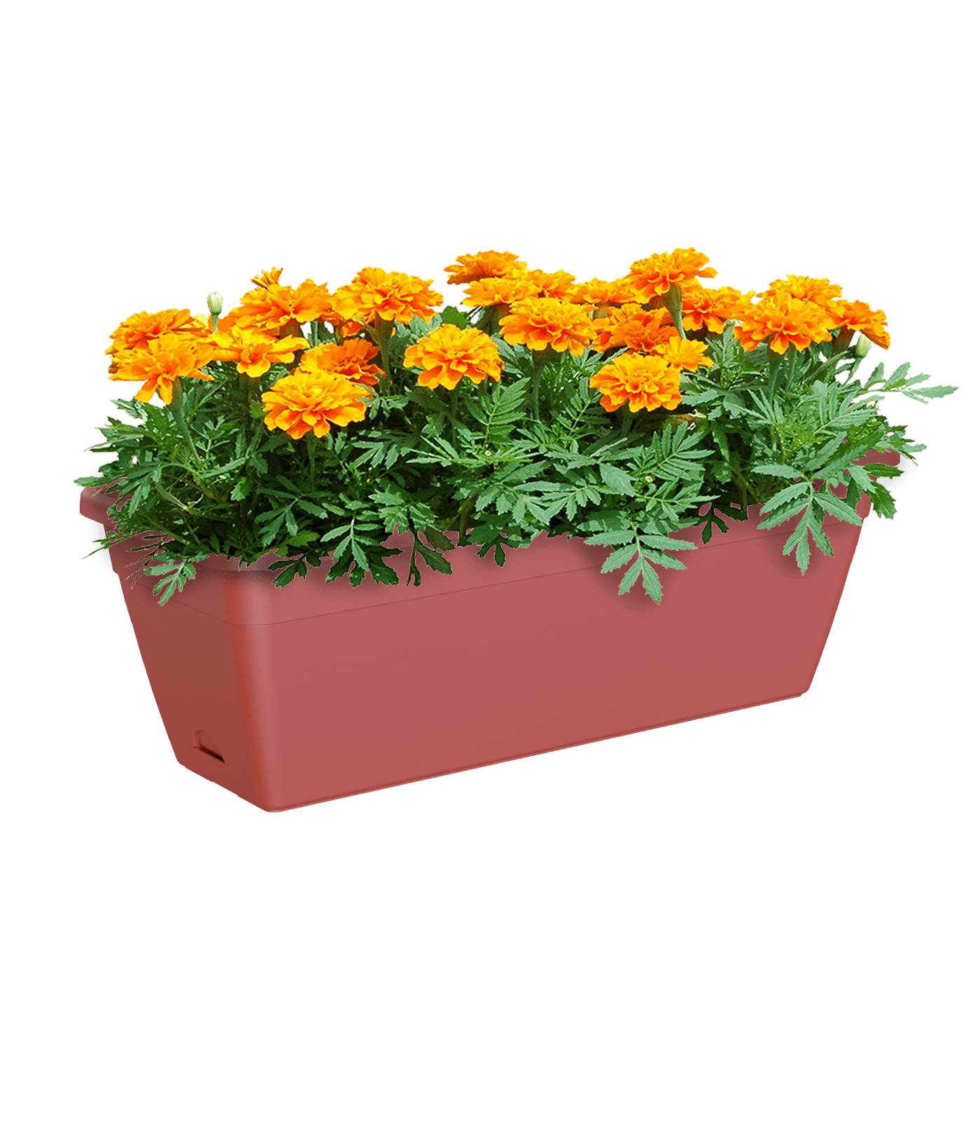 Venezia Rectangular Planter - THE GARDEN CENTRE