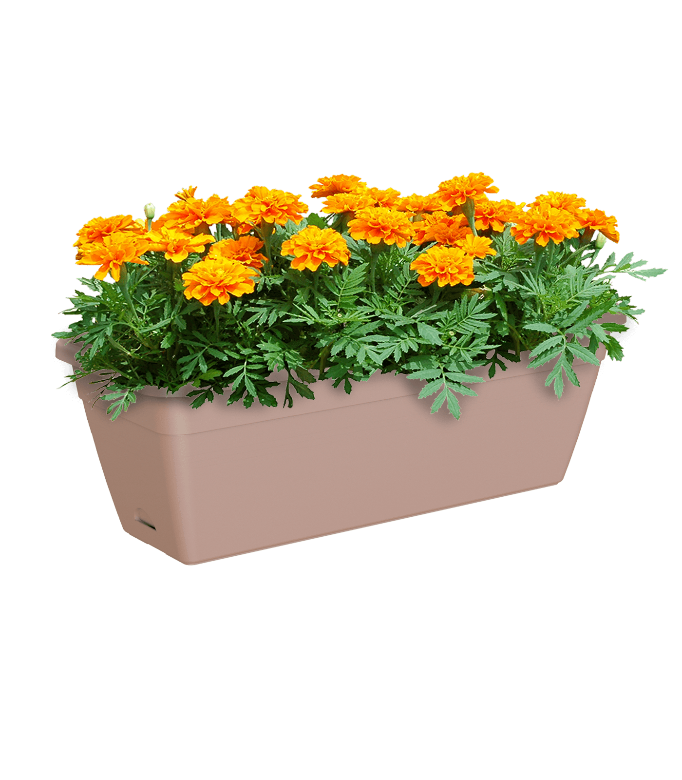 Venezia Rectangular Planter - THE GARDEN CENTRE