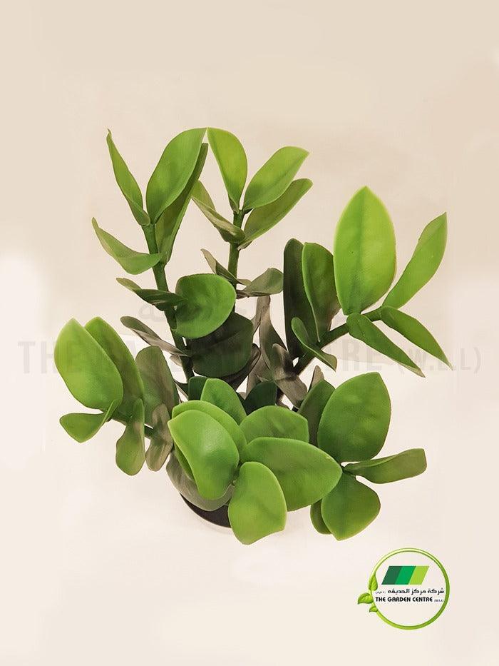 Zamioculcas Zamiifolia artificial - THE GARDEN CENTRE