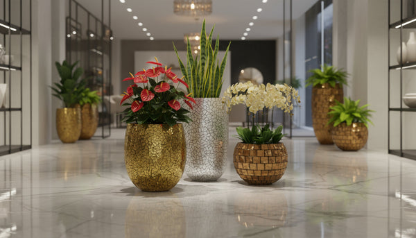 Decorative Pots