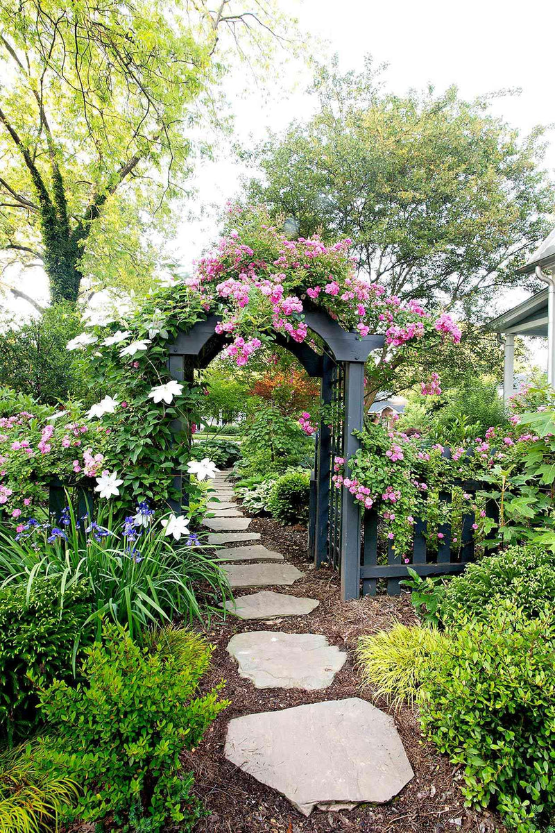 Outdoor Plants - THE GARDEN CENTRE