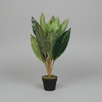 Artificial Dracena Green Red