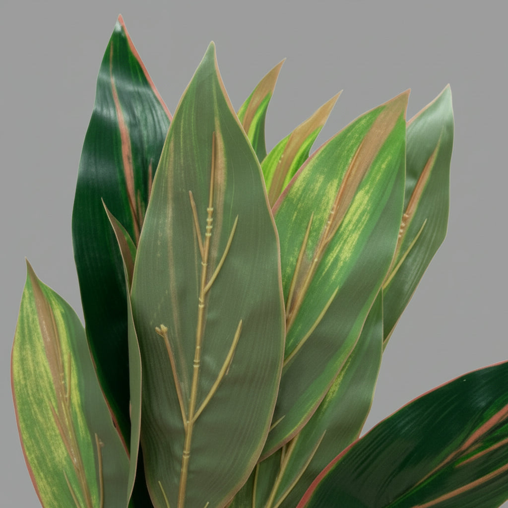 Artificial Dracena Green Red