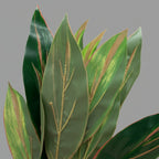 Artificial Dracena Green Red