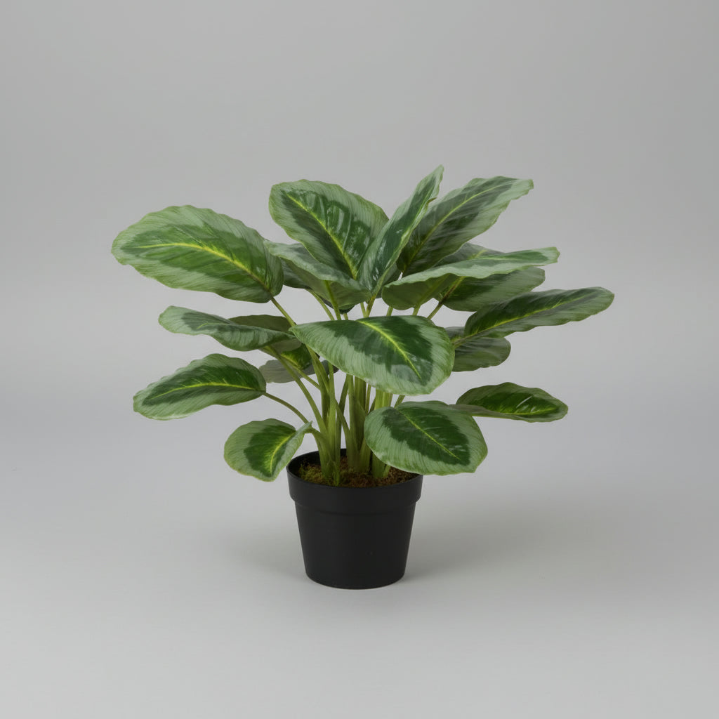 Artificial Calathea Plant