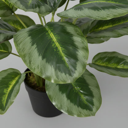 Artificial Calathea Plant
