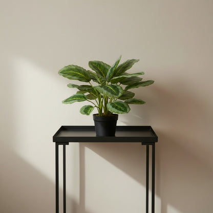 Artificial Calathea Plant