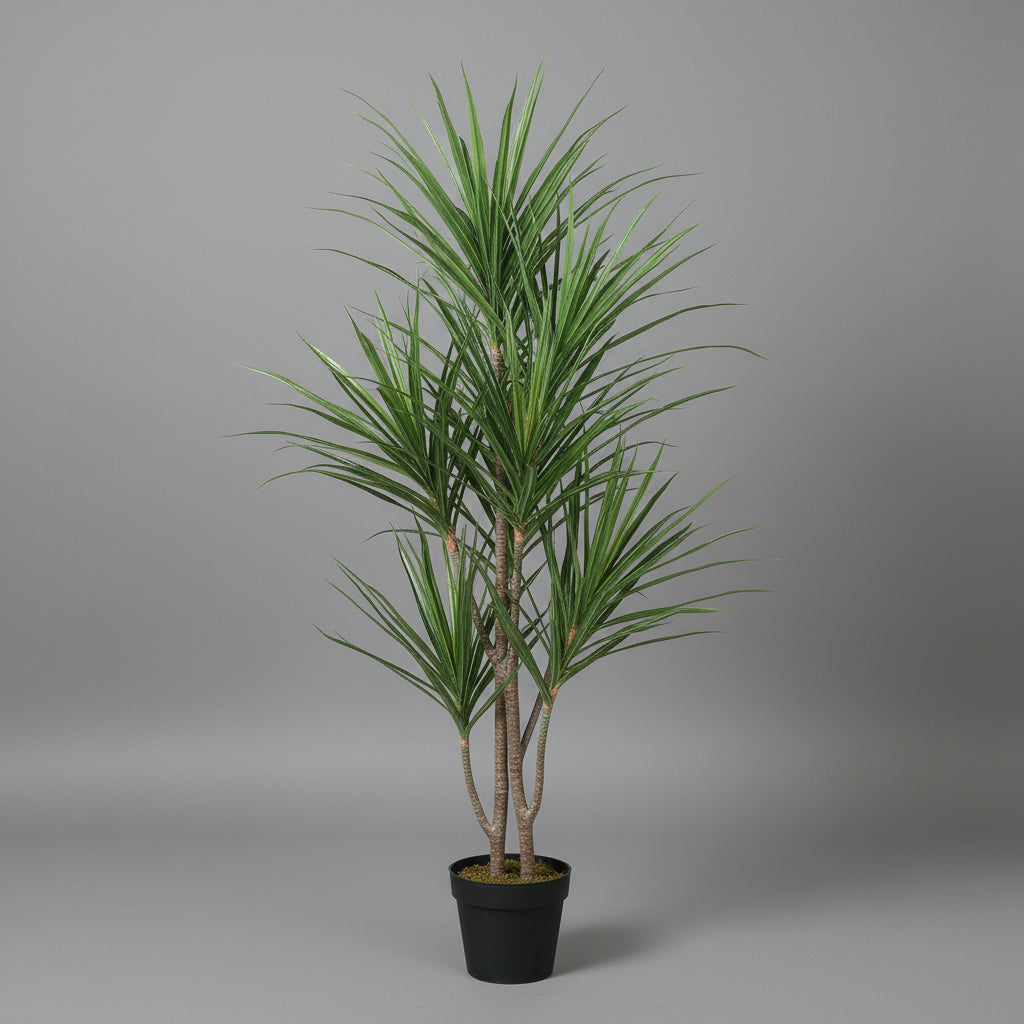 Artificial Dracaena Margineta 120 - 140 cm - THE GARDEN CENTRE