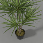 Artificial Dracaena Margineta 120 - 140 cm - THE GARDEN CENTRE