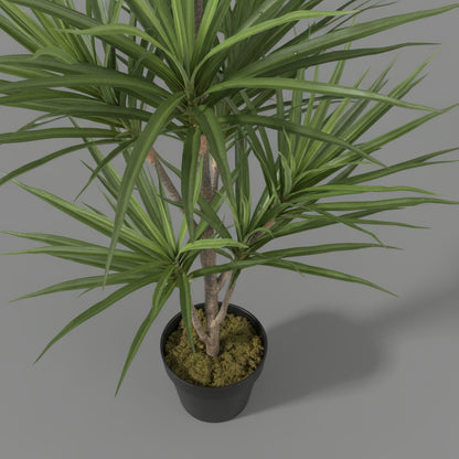 Artificial Dracaena Margineta 120-140cm
