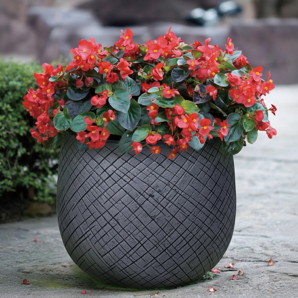 Oban Gray - THE GARDEN CENTRE