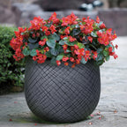 Oban Gray - THE GARDEN CENTRE