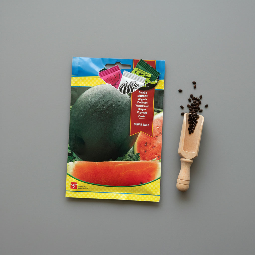 Fito Watermelon Sugarbaby - THE GARDEN CENTRE
