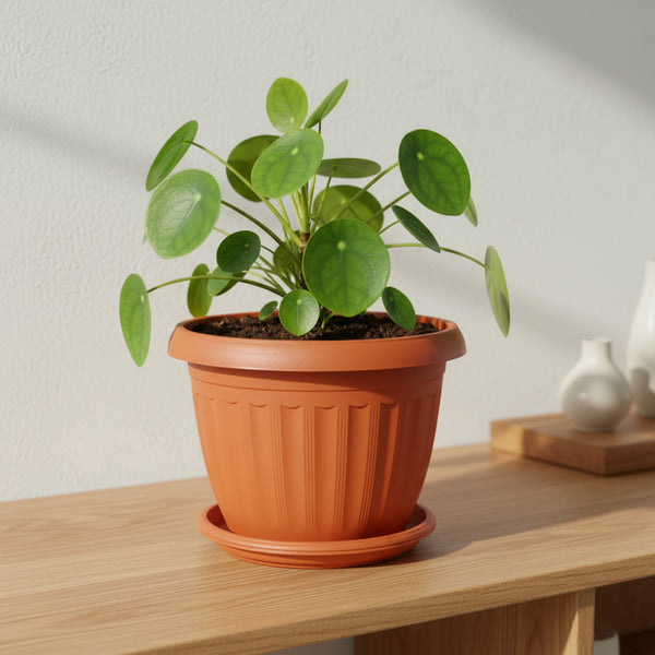 Round Plastic Pot - THE GARDEN CENTRE