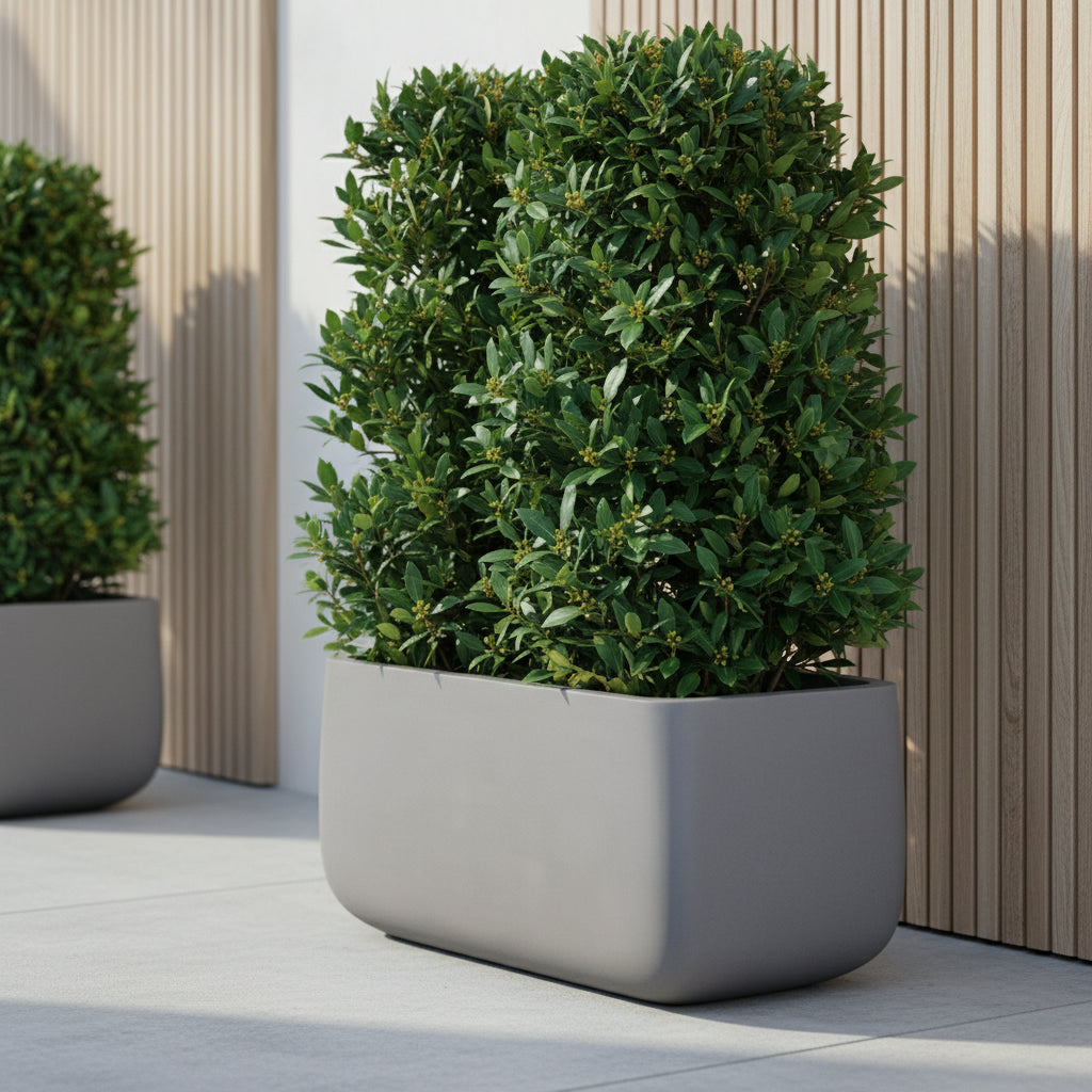 T Block Rectangular Planter