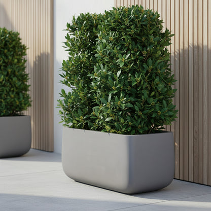 وعاء زراعة مستطيل على شكل حرف T