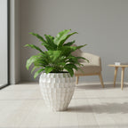 MOP Fibreglass Alibaba Planter - THE GARDEN CENTRE