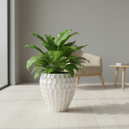 MOP الألياف الزجاجية علي بابا زارع