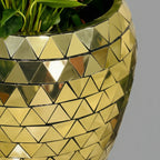 Korum Gold pot with Anthurium Plants
