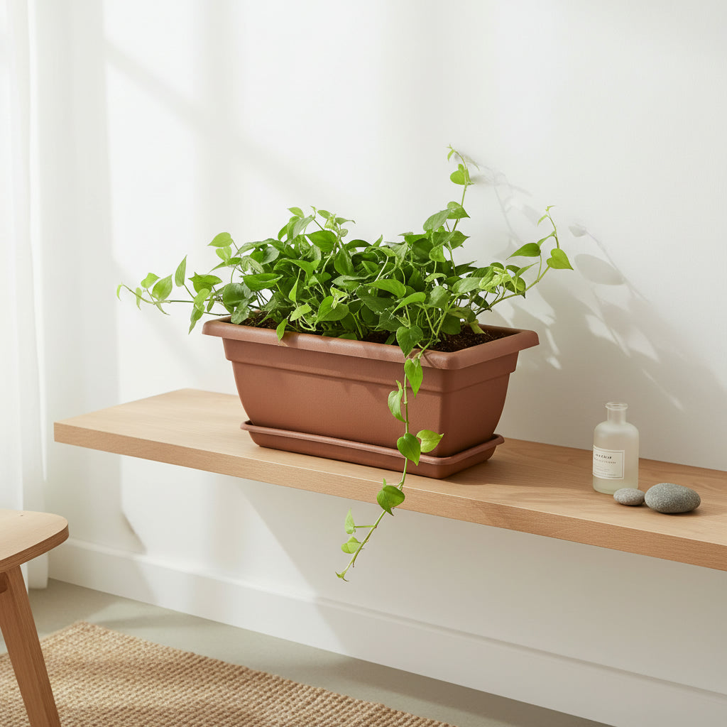 Fenghua Rectangular Planter - THE GARDEN CENTRE