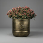 TGC Royal G Planters - THE GARDEN CENTRE