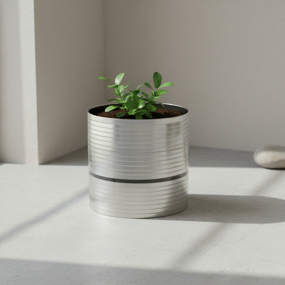 أواني زراعة من الفولاذ المقاوم للصدأ - خط فضي