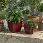 LISCIO SQUARE POT - THE GARDEN CENTRE