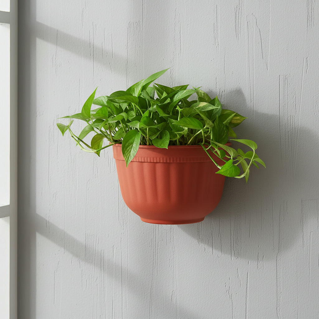 Wall Mountable Pot