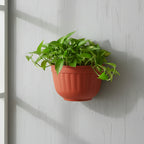 Wall Mountable Pot - THE GARDEN CENTRE