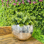 Bowl Hammered. - THE GARDEN CENTRE