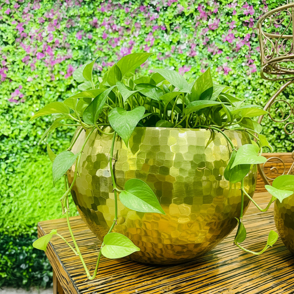 Bowl Hammered. - THE GARDEN CENTRE