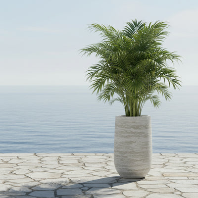 زارع طويل القامة من TGC Fibreclay Junar