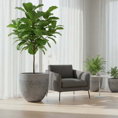 أوعية زراعة من ألياف الطين من TGC Almelo