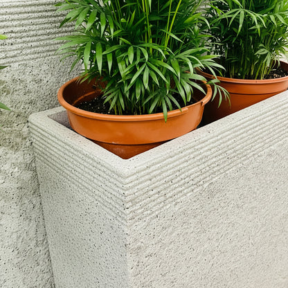 زارع قسم باتينا