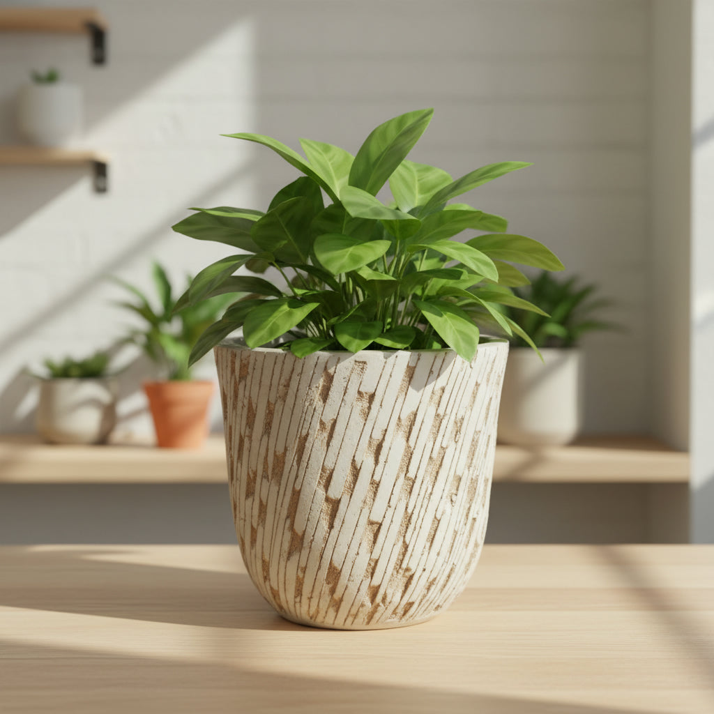 Nabraska Planter - THE GARDEN CENTRE