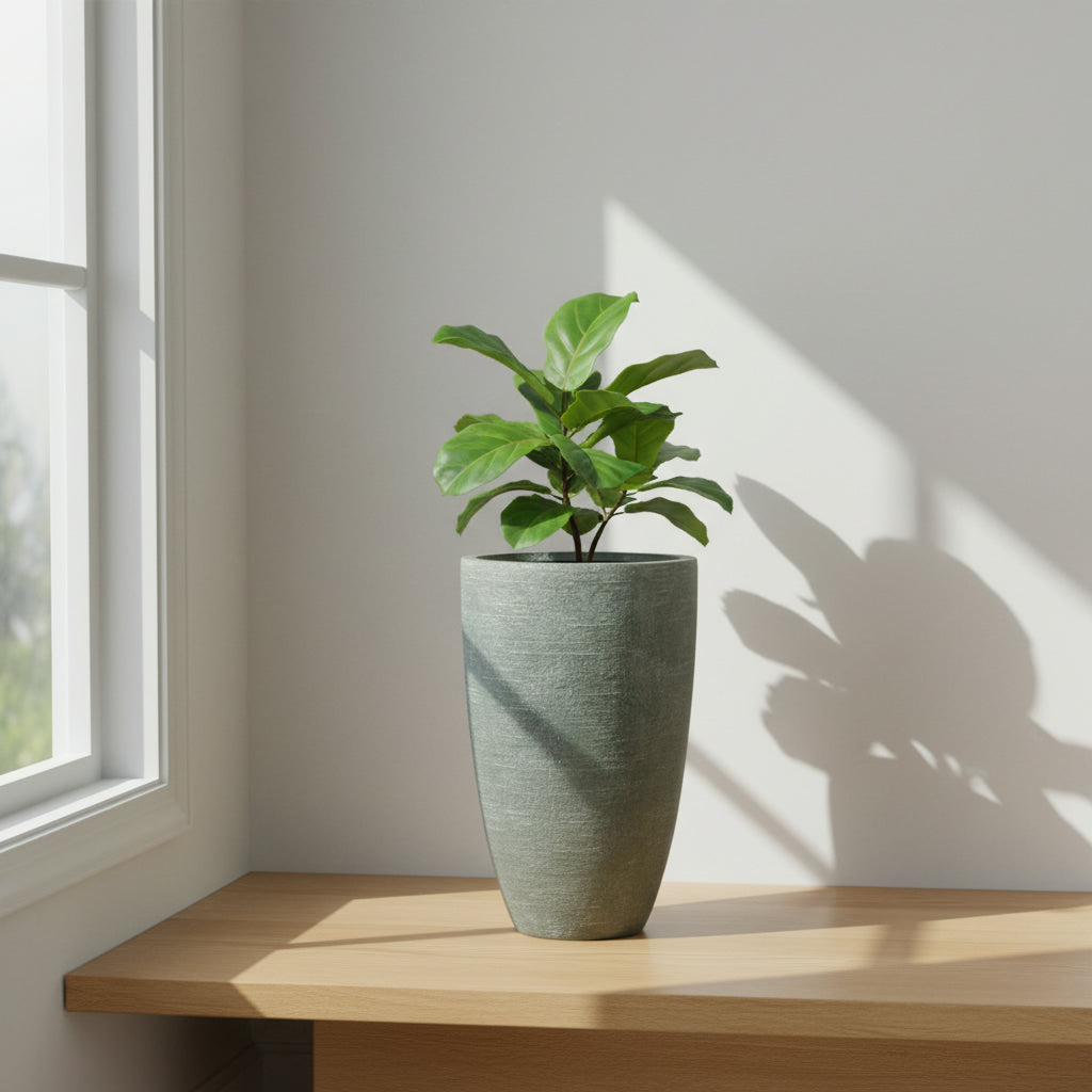 TGC  Fibreclay Pandora Pot - THE GARDEN CENTRE