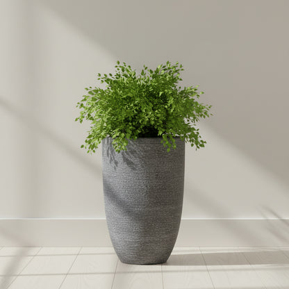 وعاء زراعة باندورا من تي جي سي فايبركلاي