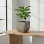 TGC Fibreclay Sahara Planter - THE GARDEN CENTRE